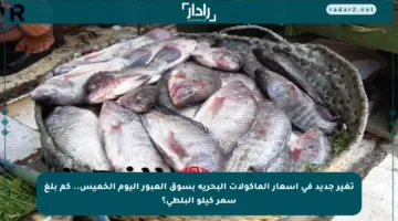 تغير جديد في أسعار المأكولات البحرية بسوق العبور اليوم الخميس.. كم بلغ سعر كيلو البلطي؟